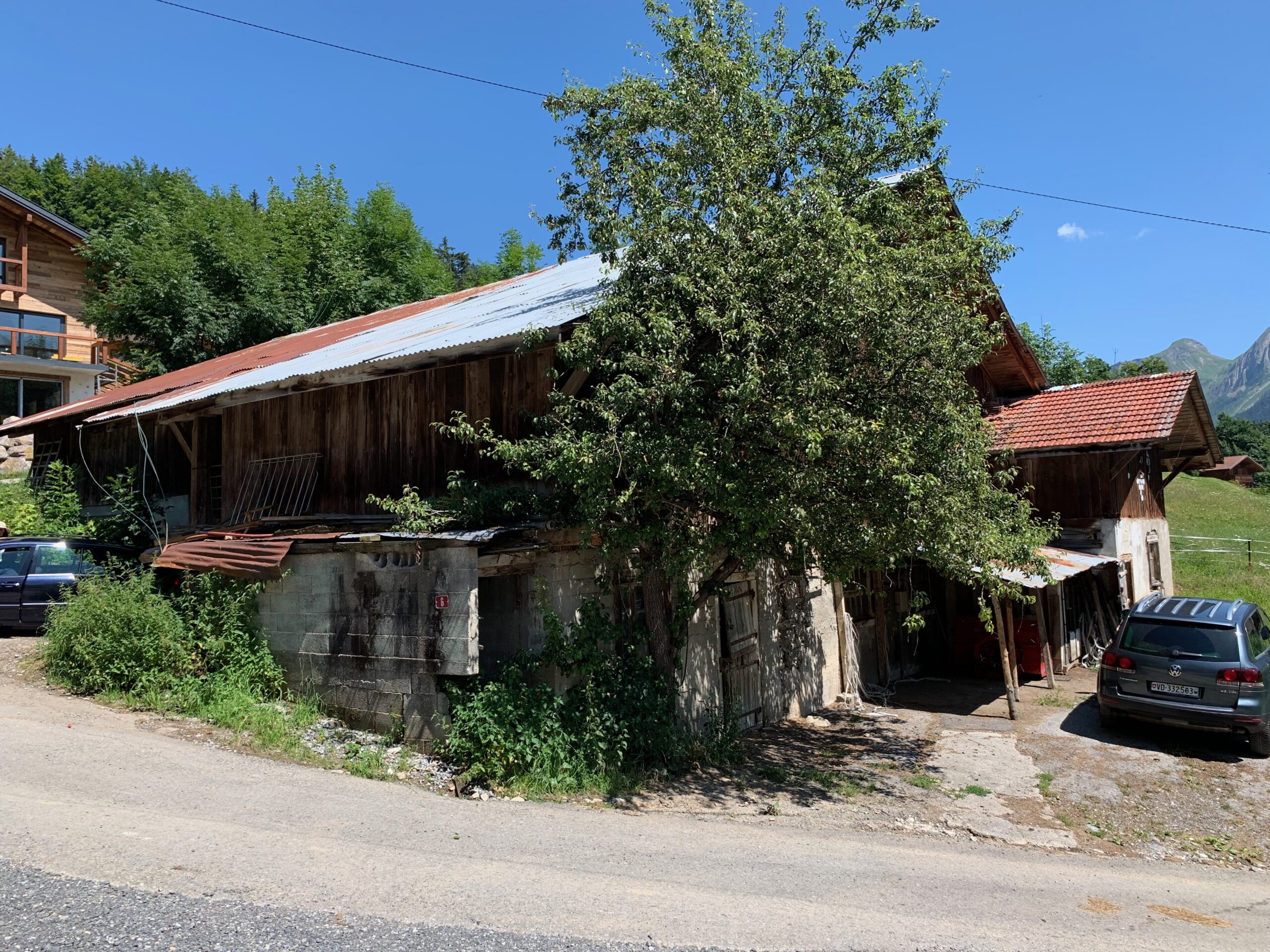 Bâtiment abandonné avec arbre fleuri